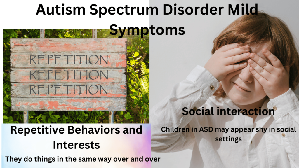 Autism Spectrum Disorder symptoms overview
